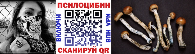 Галлюциногенные грибы прущие грибы  закладки  Ахтырский 